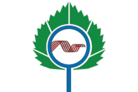 Flag of Koltsovo (Novosibirsk oblast) (2009).png
