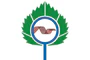 Flag of Koltsovo (Novosibirsk oblast) (2009).png