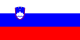 Flag of Slovenia.svg