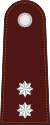 RTP OF-1b (Police Lieutenant).svg