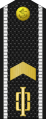 Russia-Navy-OR-6-1994-everyday.svg