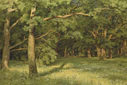 Shiskin - The Forest Clearing.jpg