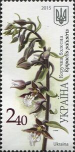 Stamps of Ukraine, 2015-52.jpg