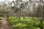 Boondall Wetlands (7114623191).jpg