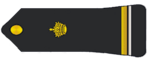 Royal Moroccan Navy - Premier maître.png