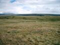 Ukok Plateau.jpg