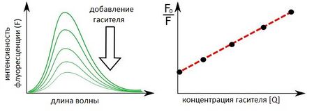 Схема тушения флуоресценции.jpg