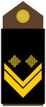 Army-HRV-OR-08.svg