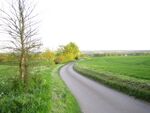 Benington, High Elms Lane - geograph.org.uk - 172027.jpg