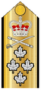 Canadian Admiral Shoulder Board.png