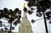 Curitiba Brazil Temple 8091 by David Terry.jpeg