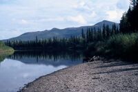 Nowitna river, gravel bar.jpg