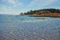 Вид на остров Верперлуда с Невской губы.jpg