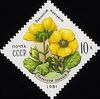 Почтовая марка СССР № 5194. 1981. Цветы украинских Карпат.jpg