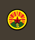 Ркка 1919танки.png