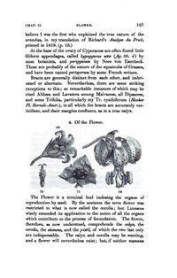 An Introduction to Botany p 127.jpg