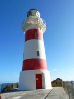 Aorangi Forest Park - Cape Palliser, New Zealand (4).JPG