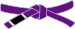 BJJ Purple Belt.svg