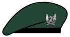 Berete Dragūnai.png