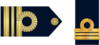 CC-ARA.png