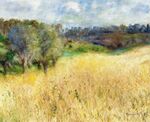 Campo de trigo.jpg