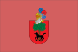 Флаг