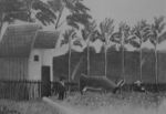 RousseauH 58.jpg