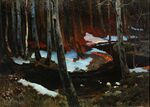 Ruszczyc Forest brook.jpg