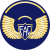 Tecnico cuarto fuerza aerea.svg