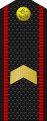 Старший сержант береговых войск.svg