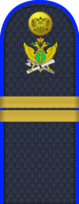 03.погон ФССП - младший сержант.png