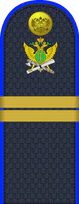 03.погон ФССП - младший сержант.png