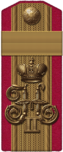 1914 Podpraporshchik of Russian Siberian 1st riflemen regiment p06.png