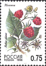 1998. Марка России 0448 hi.jpg