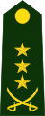 Colonel