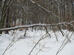 Bjära-vinter.jpg