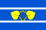 Флаг