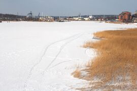 Hirvensalo Winter Turku.jpg