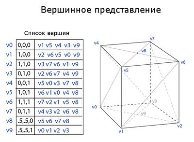 Рисунок 2. Вершинное представление