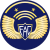 Tecnico subjefe fuerz aerea.svg