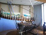 The Ma'agan Mikhael Ancient Ship -1.JPG