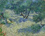 Vincent van Gogh - Olive Orchard - Google Art Project.jpg