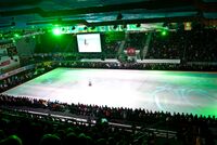 Большая Арена Ермак.jpg