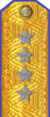 погон 1955