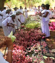 A ritual, Hindus preparing for lotus pooja.jpg