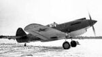 Curtiss P-40 Warhawk USSR.jpg