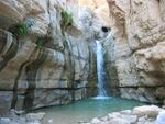 Nahal arugot.jpg