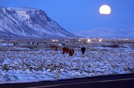 Selfoss im Dezember.jpg