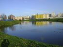 Река Новая.jpg