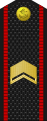 Старшина береговых войск.svg